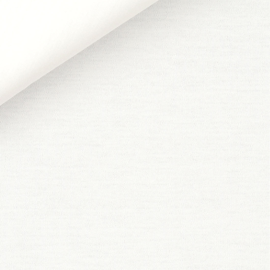 Camicia Bianca Jersey Stretch | Albini