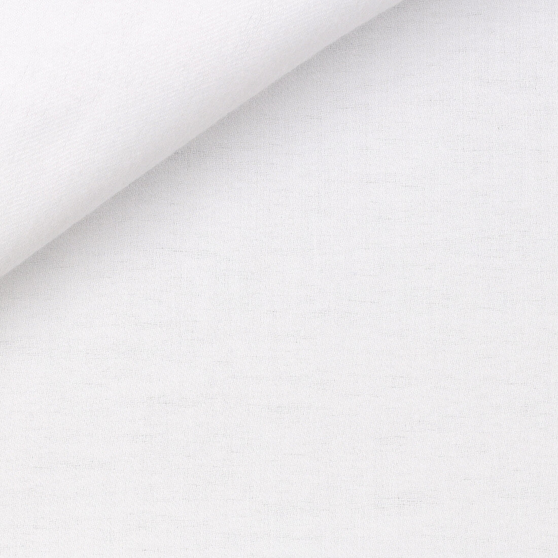 Camicia Bianca Flanella Organica Twill 60/2 | Albini