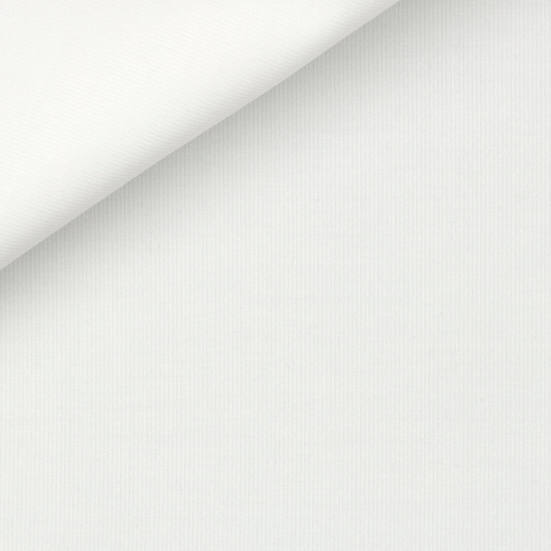 Camicia Bianca Velluto Millerighe | Albini